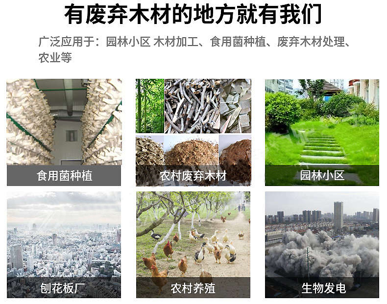 小型樹枝粉碎機(jī)